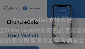 Trust Wallet支持多链下载 若何通过Trust Wallet为你的数字财富添增加重考据安全法子？